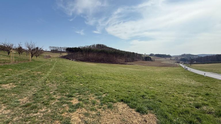 Blick Osten