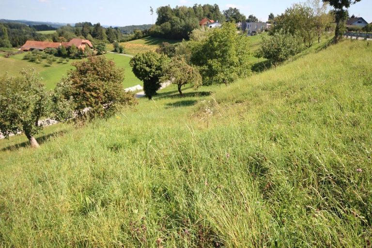 Ansicht