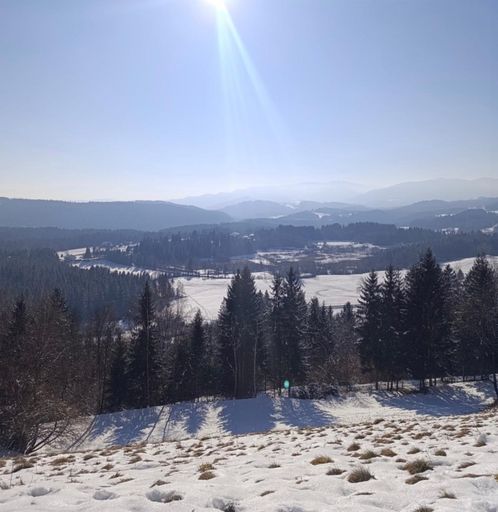 Ausblick
