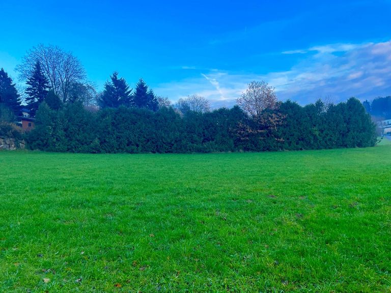 Grundstück Andorf (4)