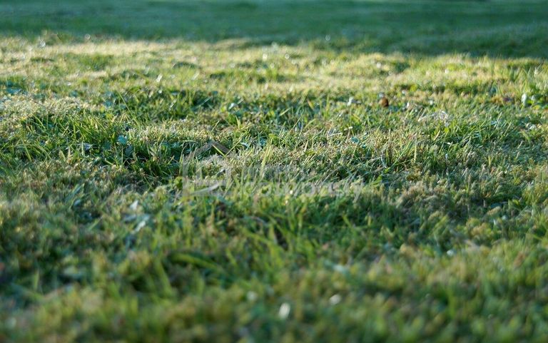 Symbolbild Grundstück