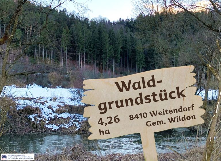 Waldgrundstück zu verkaufen