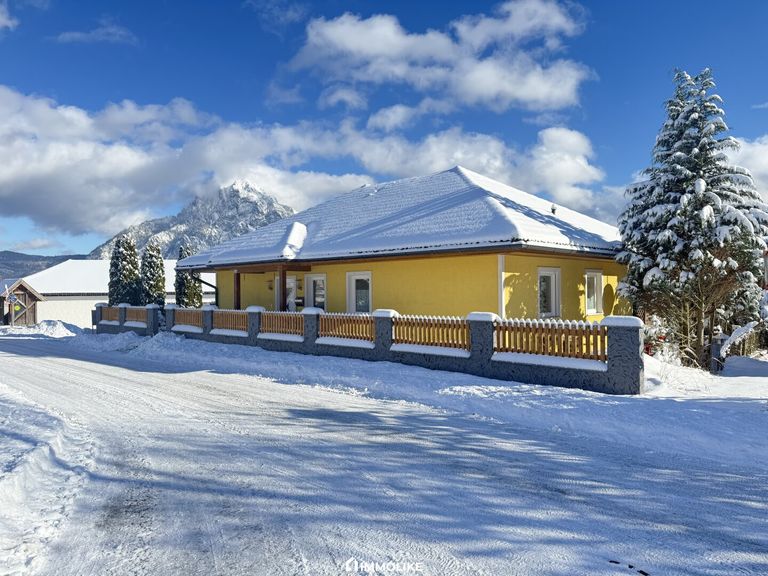 Haus & Traunstein :-)