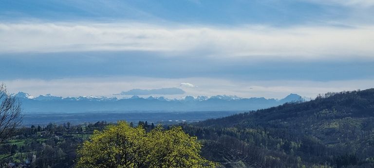 Aus- und Fernblick
