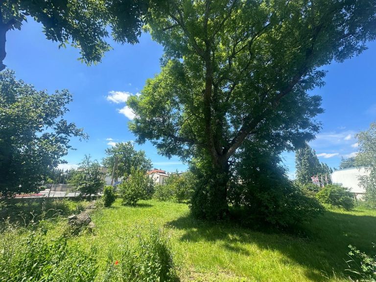 WhatsApp Bild 2024-06-03 um 08.22.01_52ebe1bd