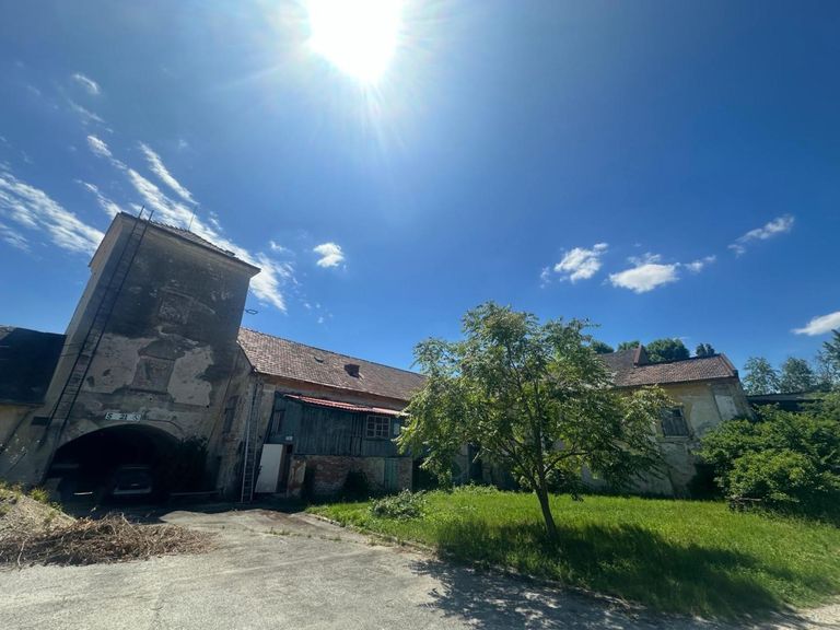 WhatsApp Bild 2024-06-03 um 08.22.01_7f2fe14e