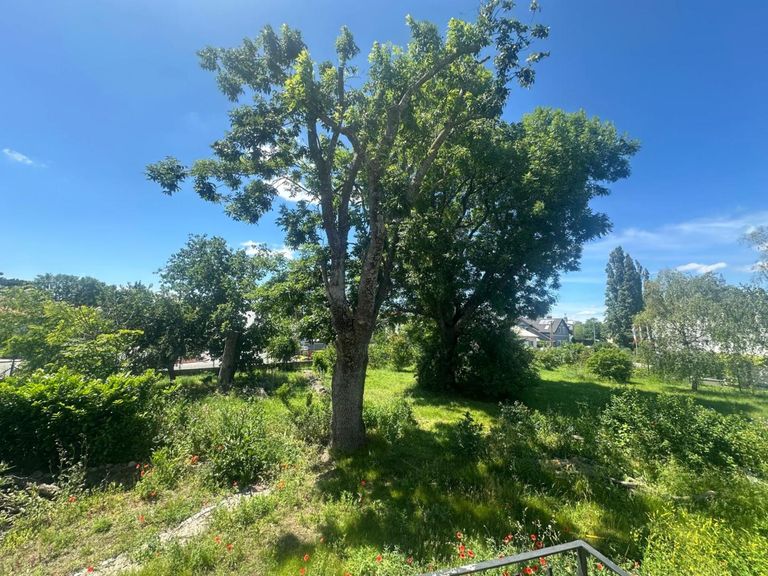 WhatsApp Bild 2024-06-03 um 08.22.01_10f7ca39