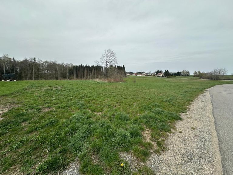 WhatsApp Bild 2025-04-17 um 12.52.09_99a14e99