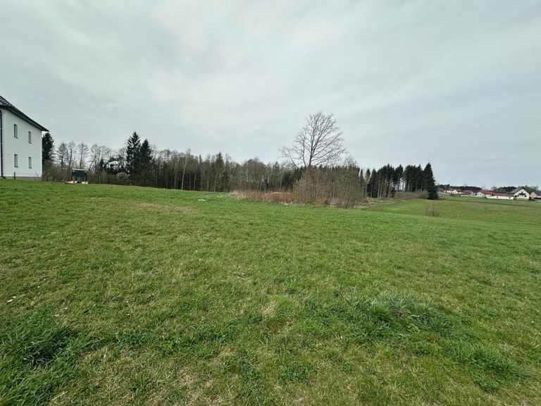 WhatsApp Bild 2025-04-17 um 12.52.09_4152f415