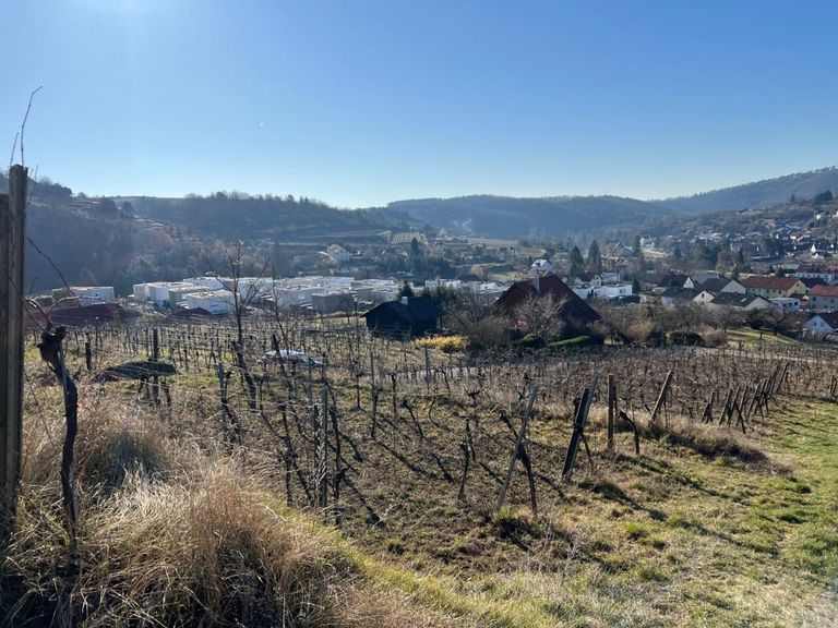 Grundstück_Lage_Ausblick