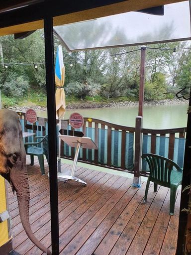 K1024_WhatsApp Image 2020-09-25 at 18.00.57 (1)