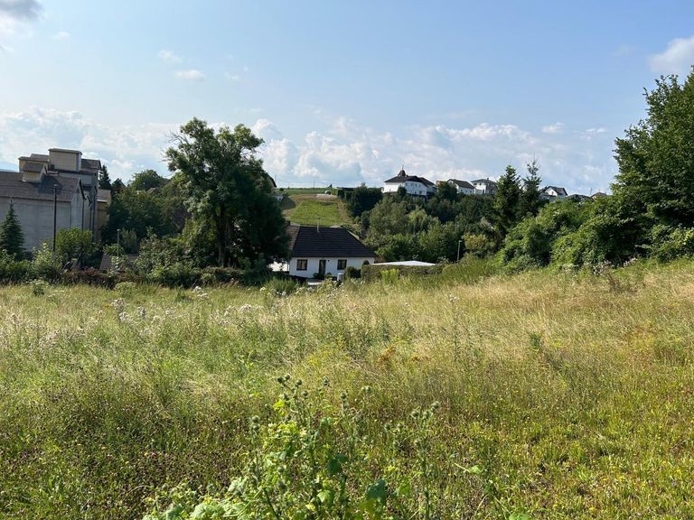 Foto von Süd