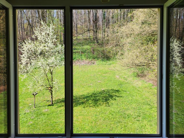 Ausblick Schlafzimmer