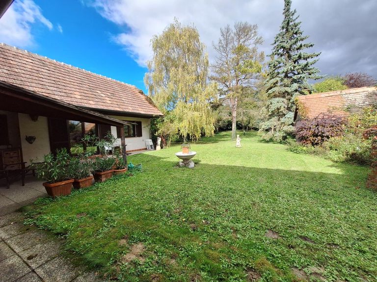 Blick in den weitläufigen Garten