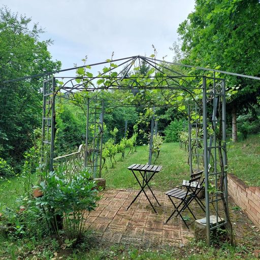 schöner Platz neben dem kleinen Weingarten