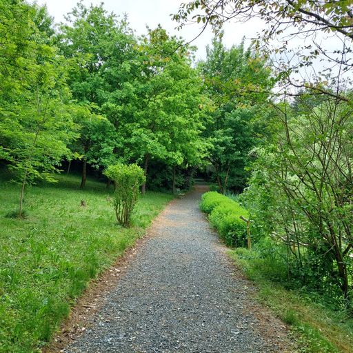 parkähnlicher Garten