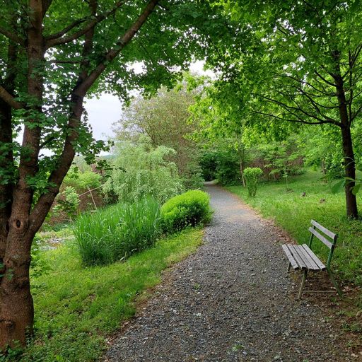 schöne Plätze im Garten