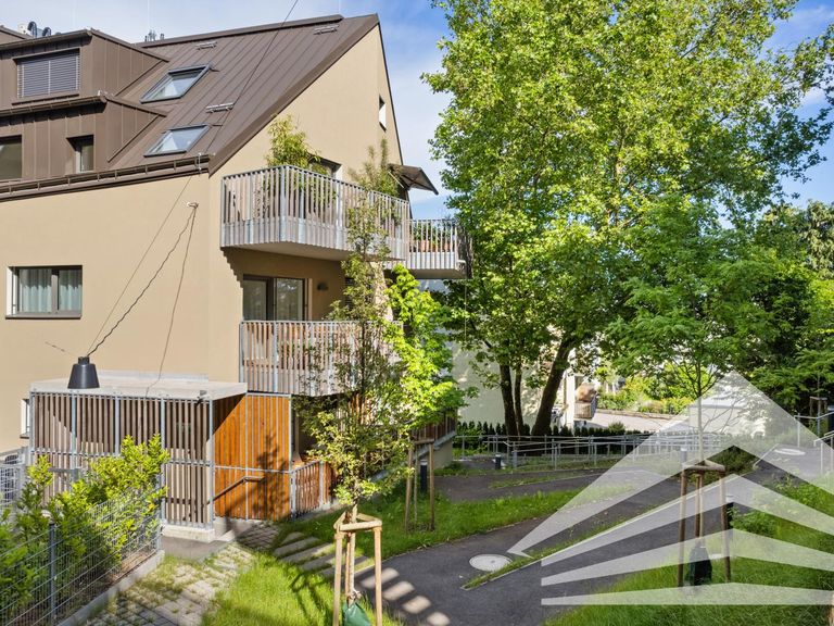 Platane im Innenhof