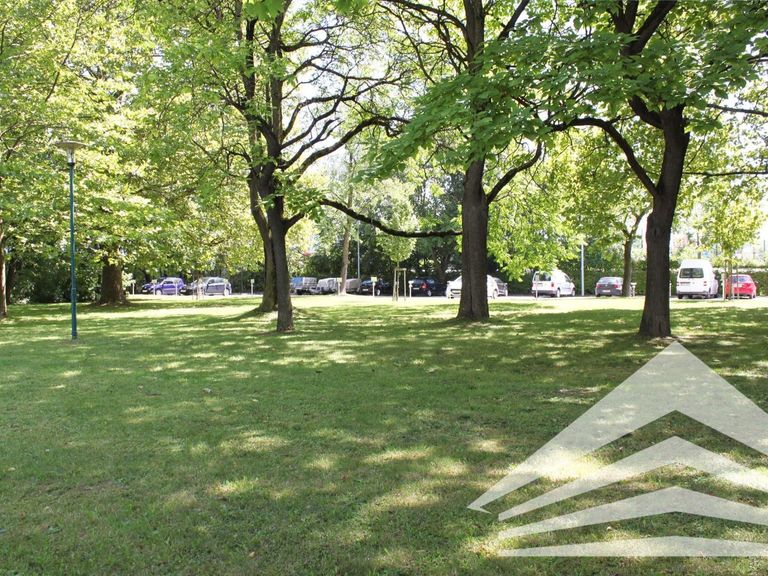 Grünfläche Paul Hahn Center