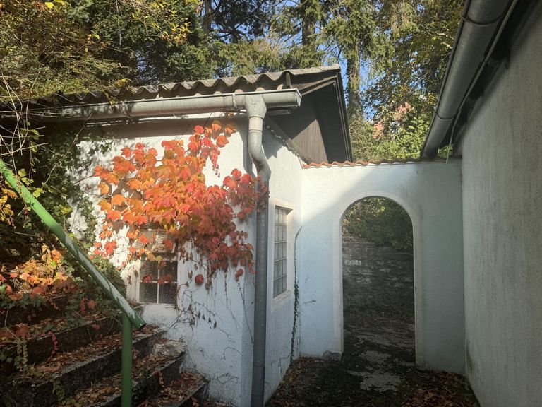 07 Baugrund in Katzelsdorf