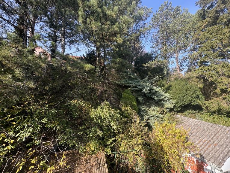 10 Baugrund in Katzelsdorf