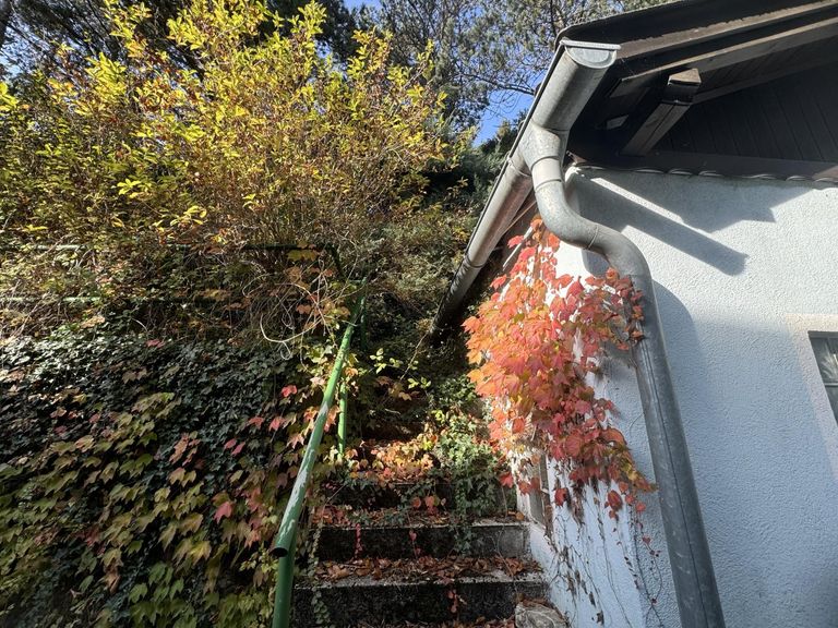 08 Baugrund in Katzelsdorf