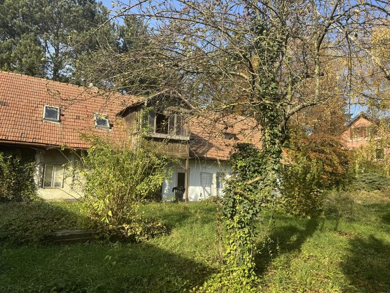 11 Baugrund in Katzelsdorf