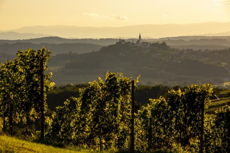 SüdoststeiermarkLandschaft