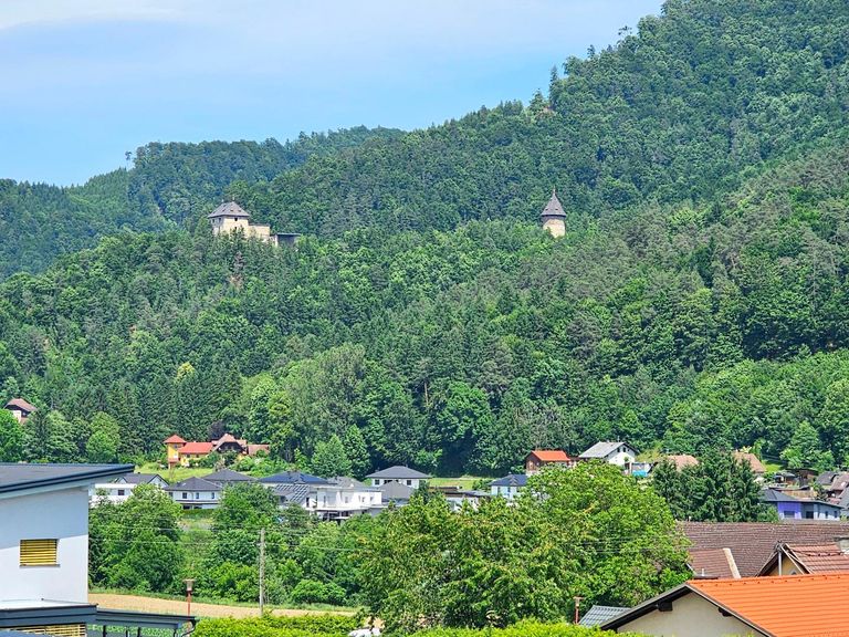 Blick auf die Burg Weißenegg