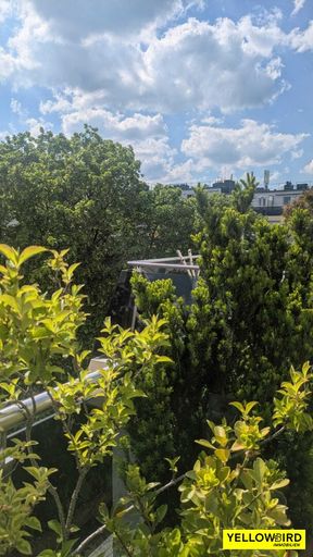 Blick von der Terrasse