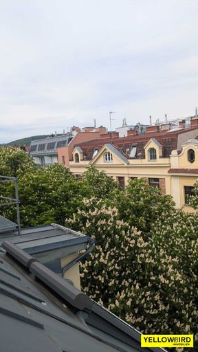 Aussicht aus Dachschrägenfenster