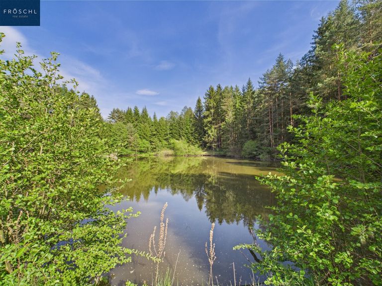 Ansicht Teich 1 - Pic 5