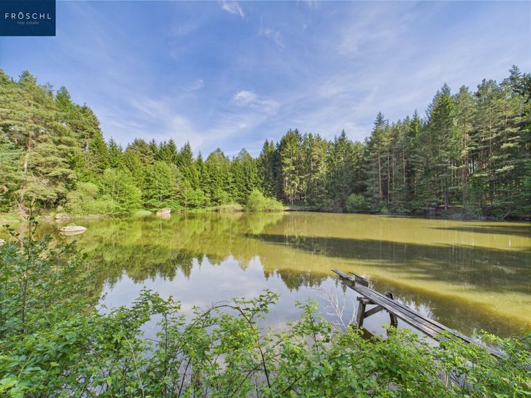 Ansicht Teich 1 - Pic 2