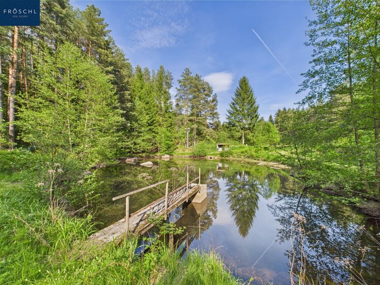 Ansicht Teich 2 - Pic 1