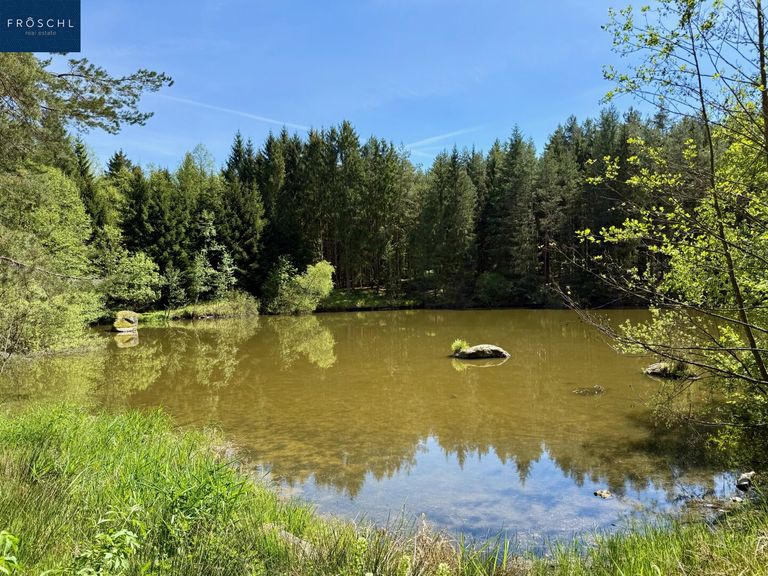 Ansicht Teich 1 Richtung Süden