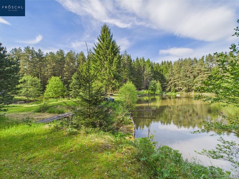 Ansicht Teich 1 - Pic 6