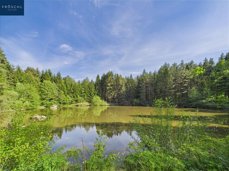 Ansicht Teich 1 - Pic 1