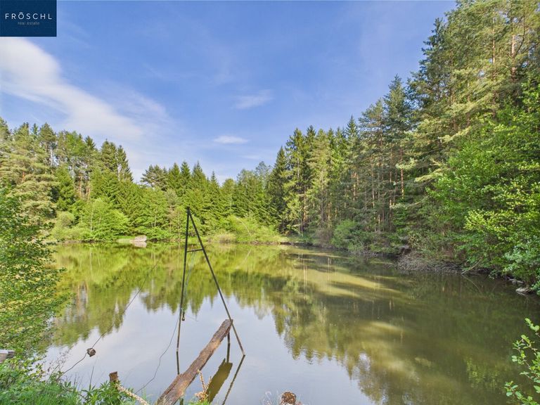 Ansicht Teich 1 - Pic 4