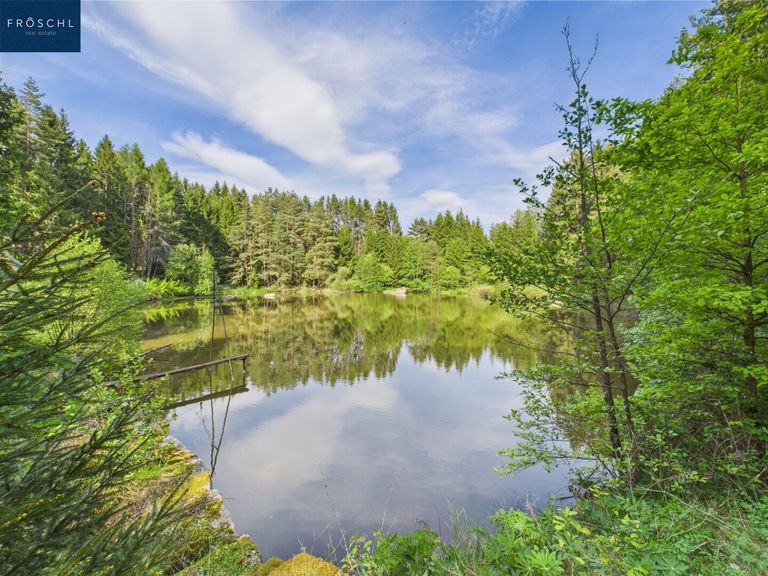 Ansicht Teich 1 - Pic 4