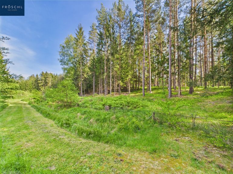 Grünblick Richtung Wald