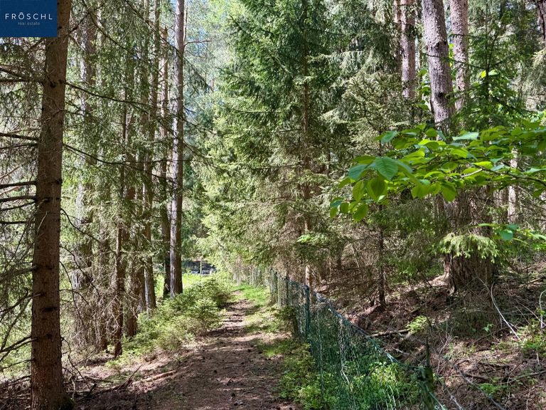 Eingezäunter Weg - Teich 1