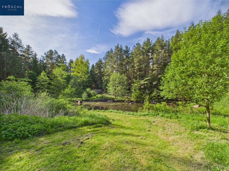 Grünblick Richtung Teich 2