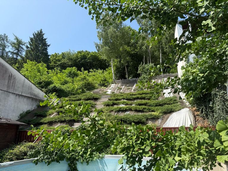 Aufgang zum Relax Plateau & Wald