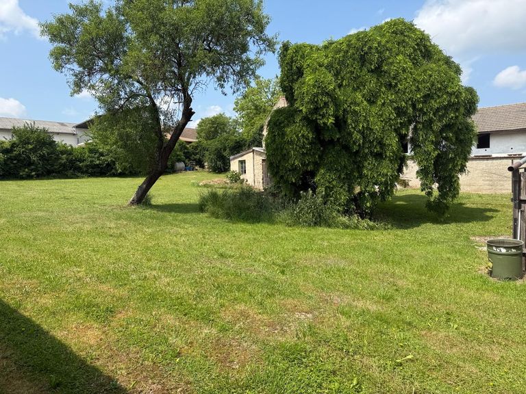 freie Fläche im hinteren Bereich