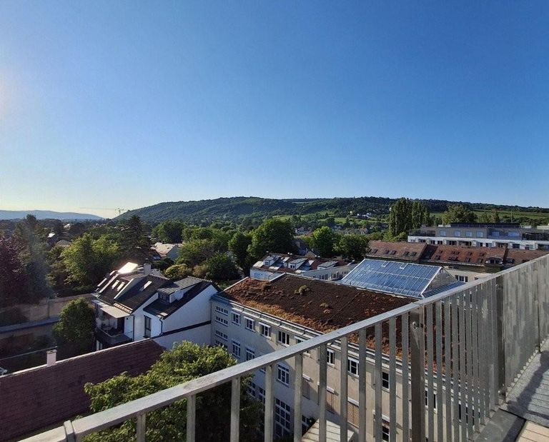 22 Traumausblick zum Bisamberg 1210