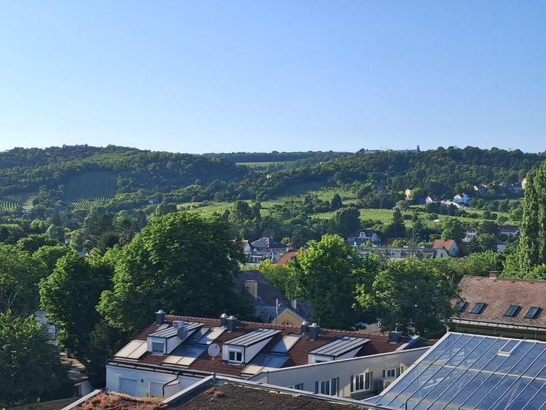 5 Traumausblick zum Bisamberg TerrassenPenthouse 1