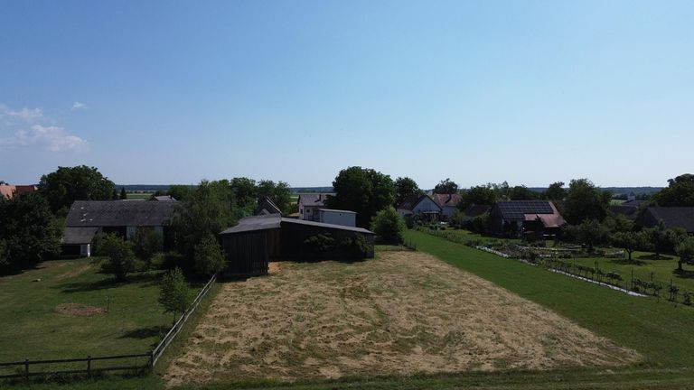 Drohnenansicht Wiese