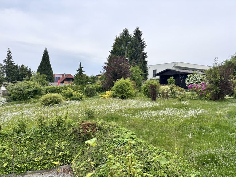 Garten - Grundstück