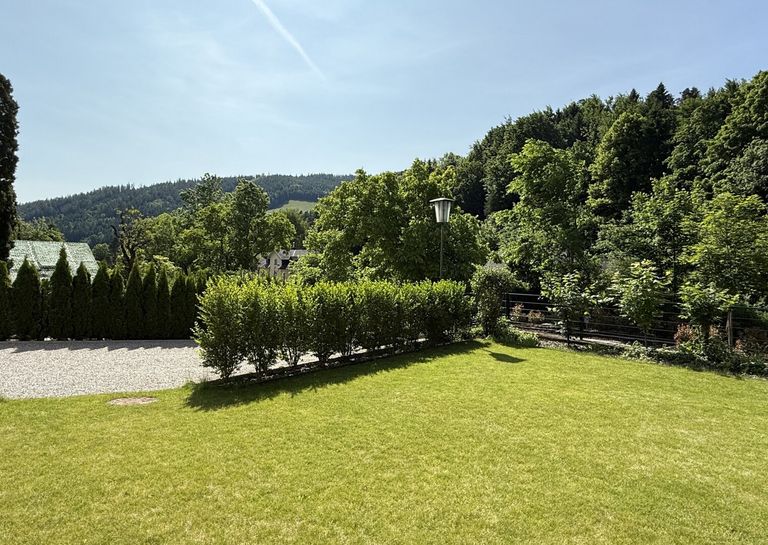 vorderer Gartenbereich