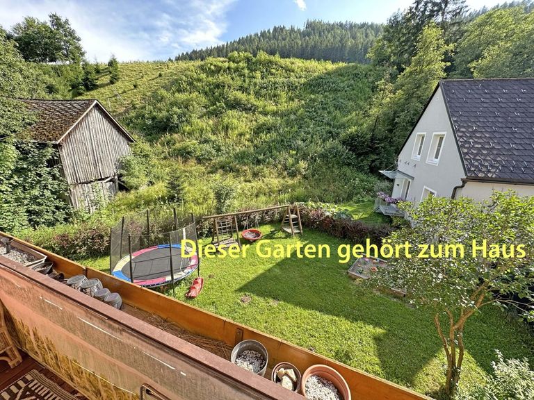 allgemeiner Garten